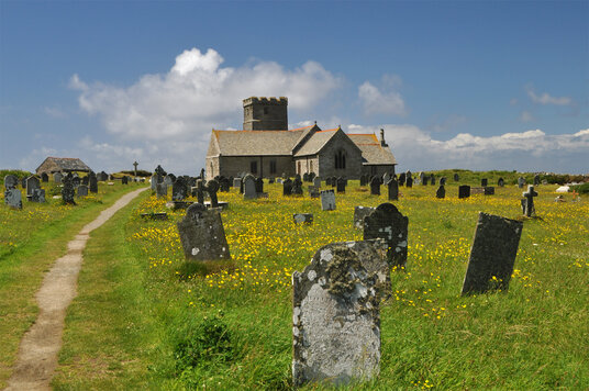 Buttercups at St Materiana's Church