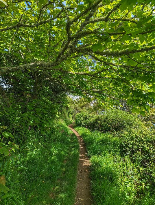 Footpath from St Mawes