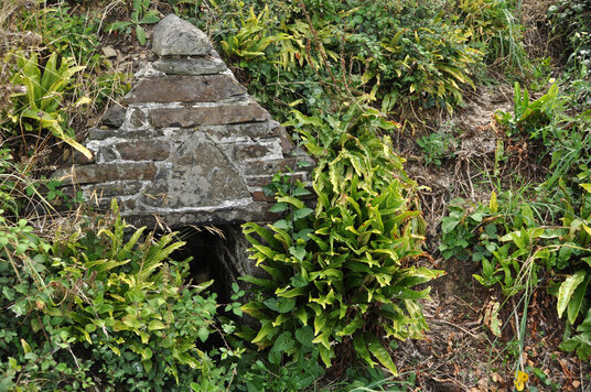 St Morwenna's Well