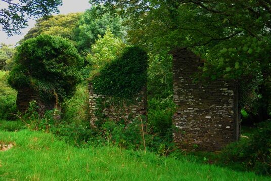 Mill in the meadow above the Glen