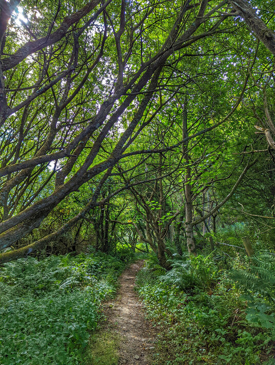 St Nectan's Glen