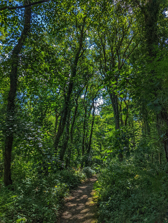 St Nectan's Glen