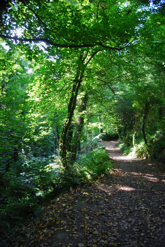 Path through St Nectan's Glen