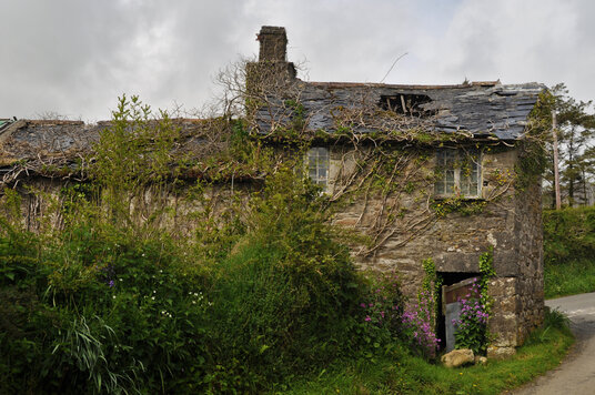 House reclaimed by Nature