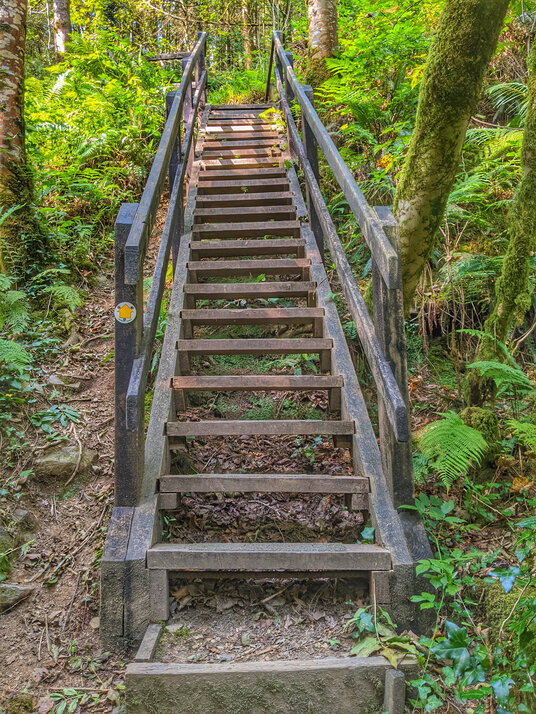 Steps by the River Fowey