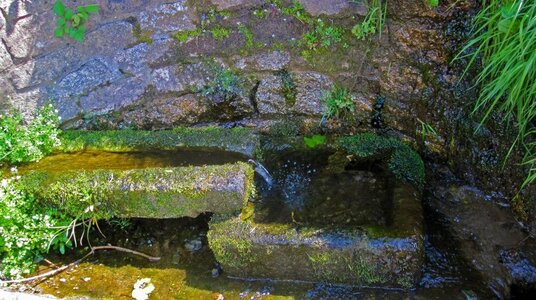 St Pratt's Well near Blisland