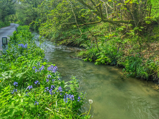 River at Coombe