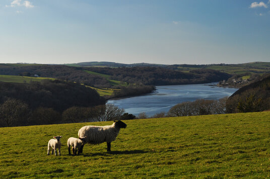 View from the footpath from Cliff Pill