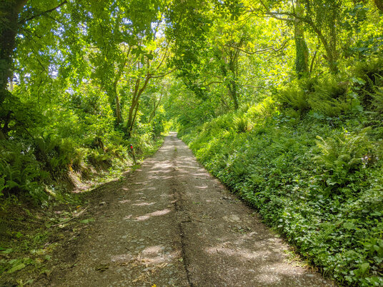 Track to Stampas Farm