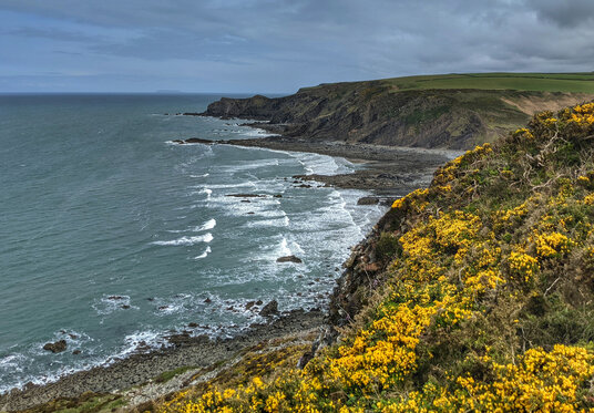 Coast near Stanbury Mouth