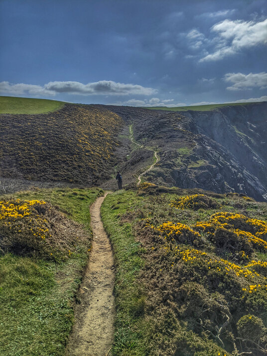 Coastline near Stanbury Mouth