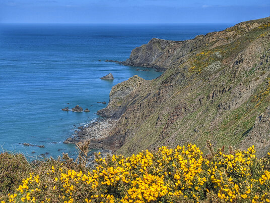 Coastline near Stanbury Mouth