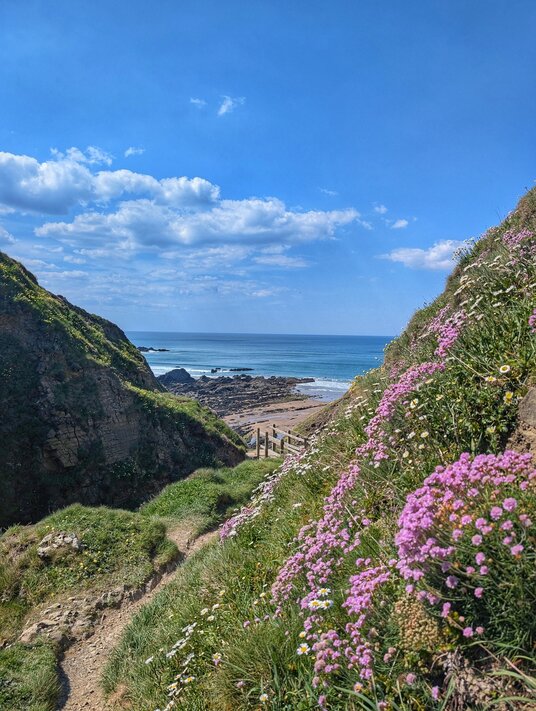 Coast path to Stanbury Mouth