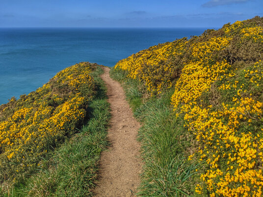 Path to Stanbury Mouth