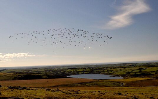View over Stannon Lake
