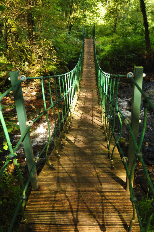 Rope bridge at Stara woods