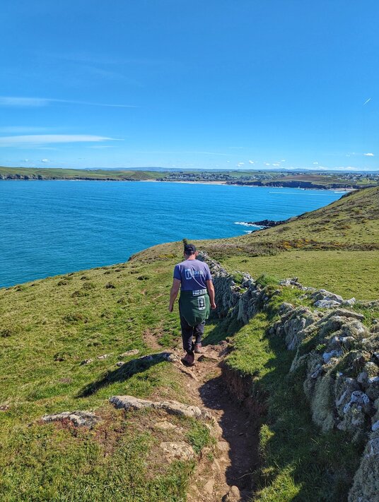 Coast path at Stepper Point