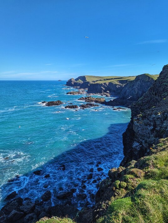 Coastline near Stepper Point