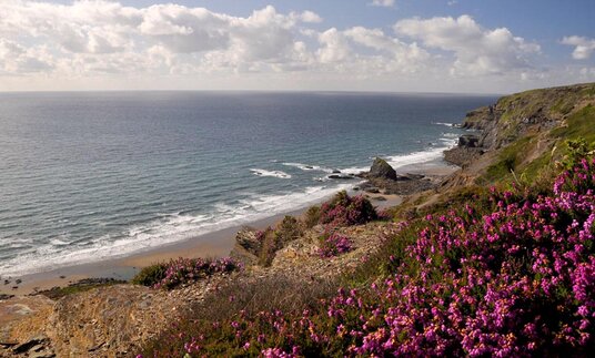 Cliffs above The Strangles