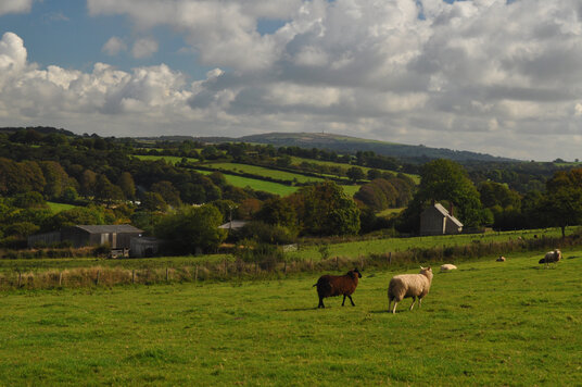 View towards Kit Hill