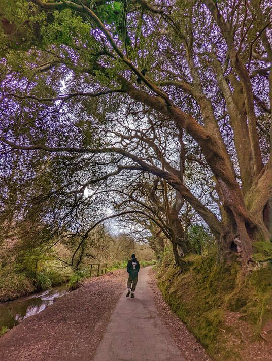 Swanpool nature reserve