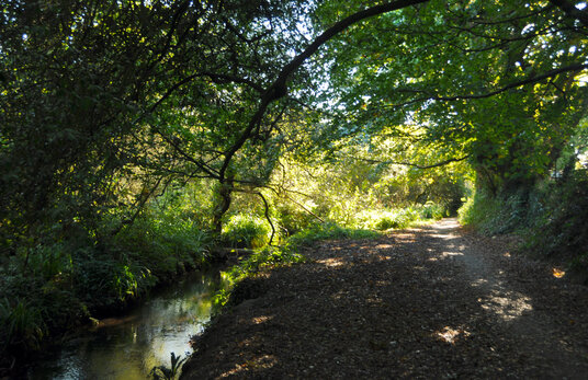 Swanpool Nature Reserve