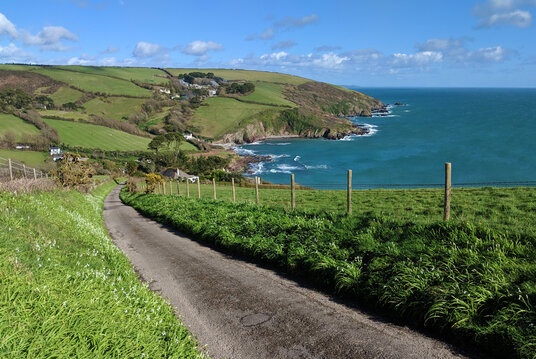 Lane to Talland Bay