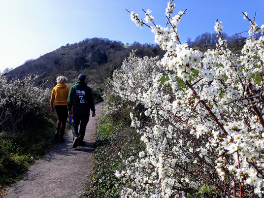 Footpath to Polperro