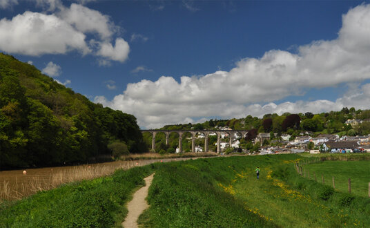 Tamar Discovery Trail