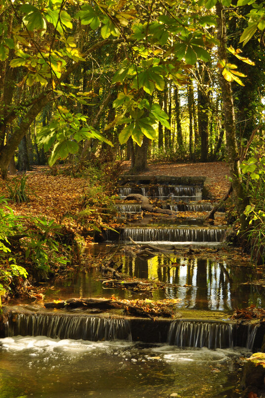 Cascades in Tehidy Country Park