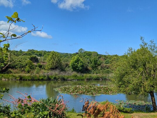 Fishing lake from The Dixies