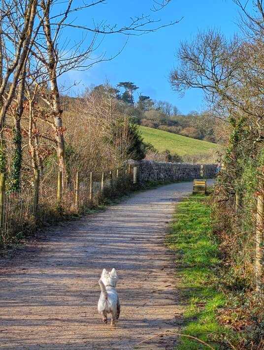 The Saints Trail