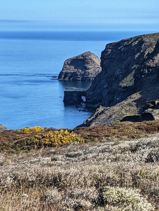 Coastline at The Strangles