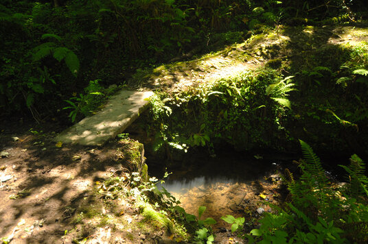 Footbridge over the River Tidna