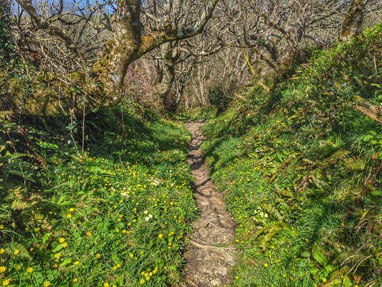 Path into the Tidna Valley