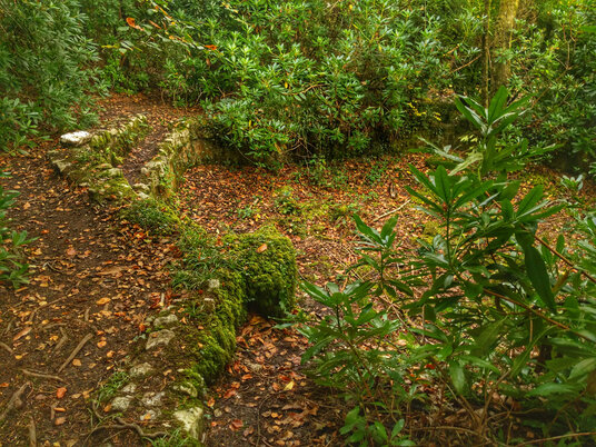 Remains of Tivoli Pond