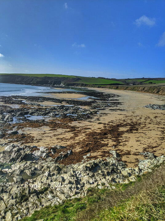 View over Towan beach