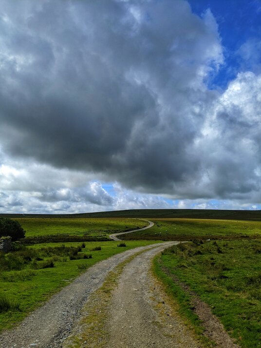 Track across Bodmin Moor