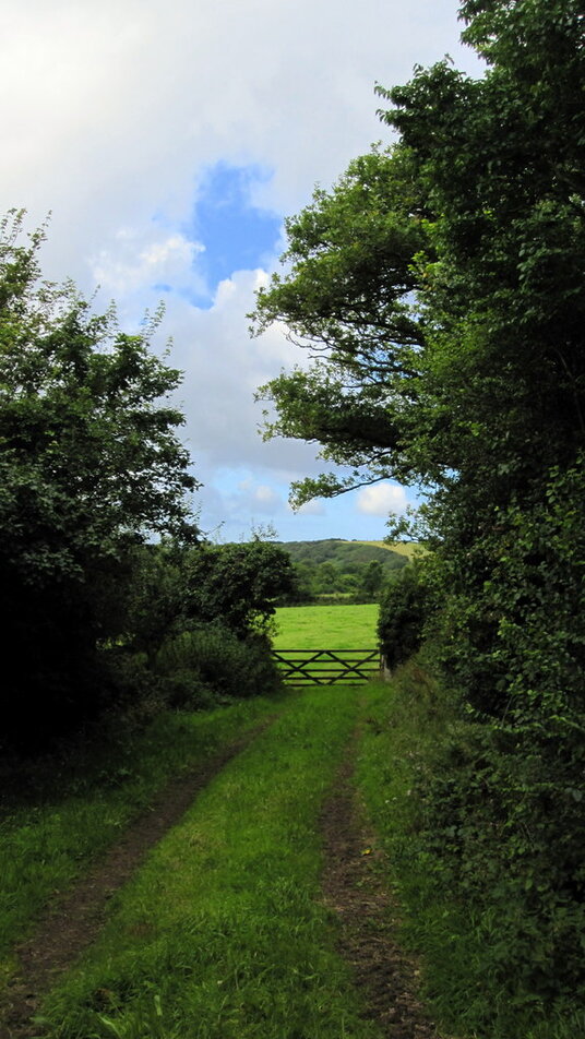 Track near St Kew