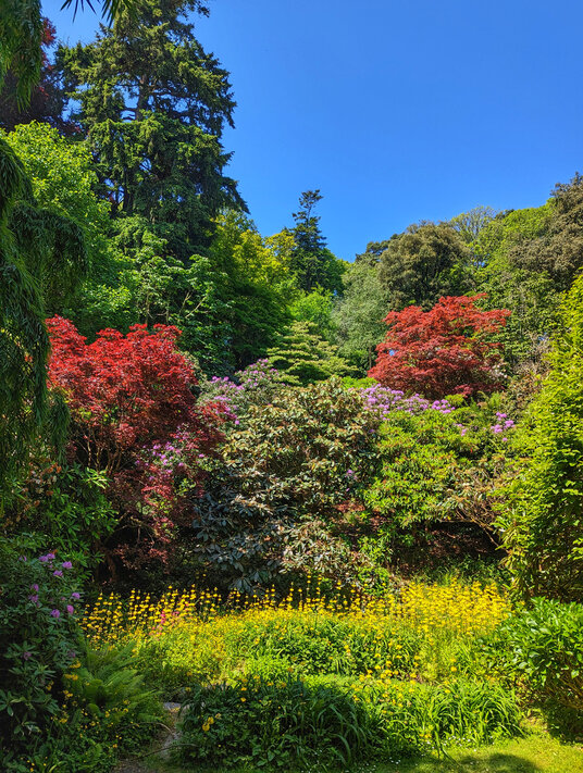 Trebah gardens