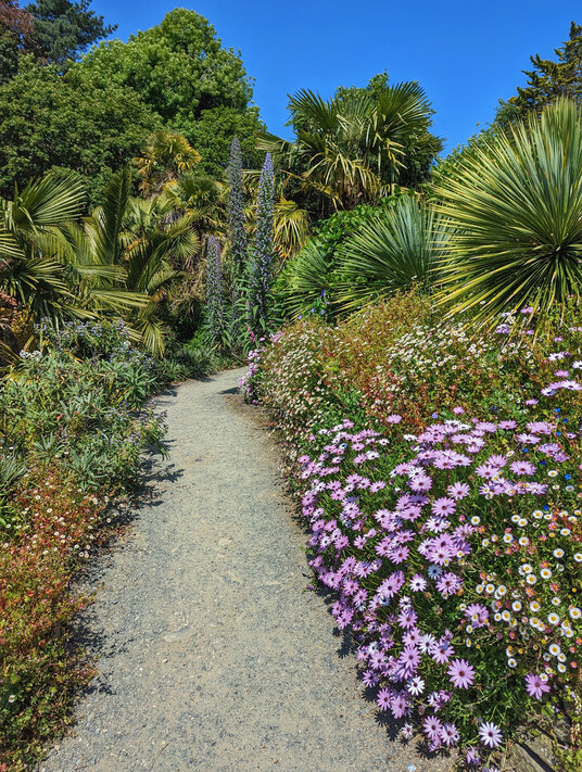 Trebah gardens