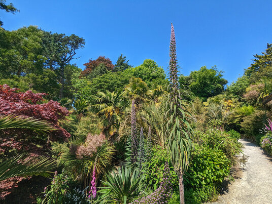 Trebah gardens