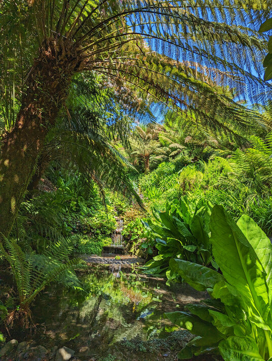Trebah gardens