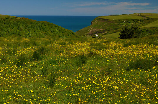 Fields at Trebarfoote