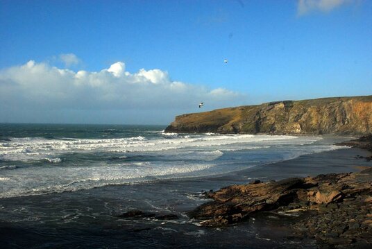 View from the Port William