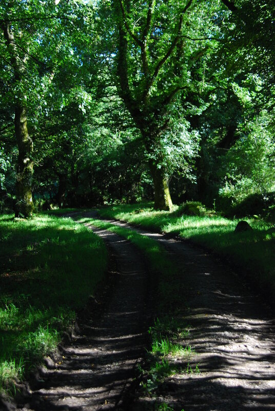 Track to the remains of the mediaeval village of Carwether