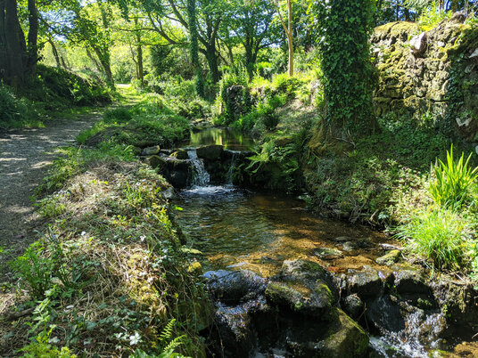 River at Tredorwin