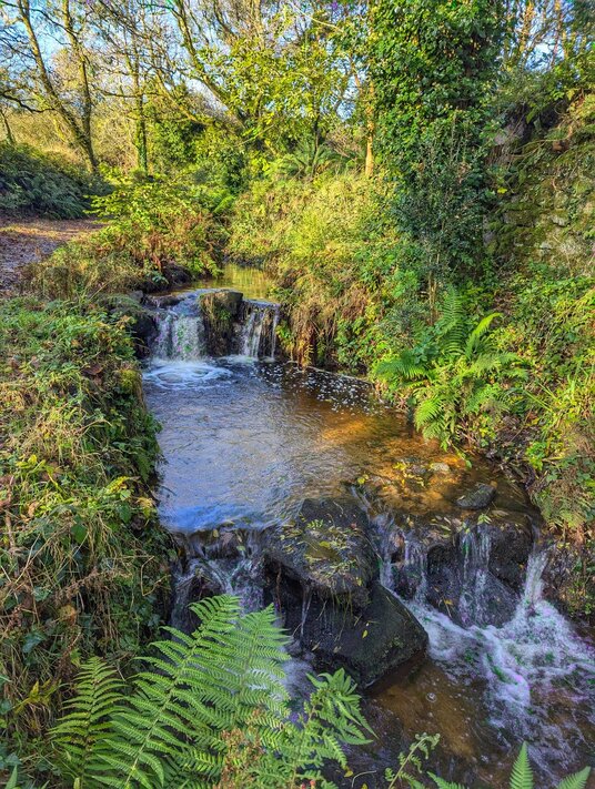 Stream at Tredorwin