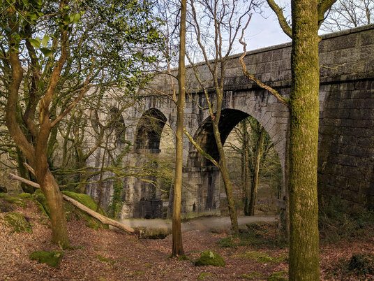 Treffry Viaduct