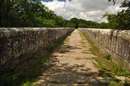 View over the Treffry viaduct